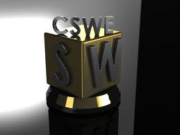 news 275cswe1