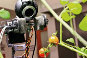 Ngành sản xuất thực phẩm tương lai trong bức tranh công nghệ 8 cong nghe nong nghiep7